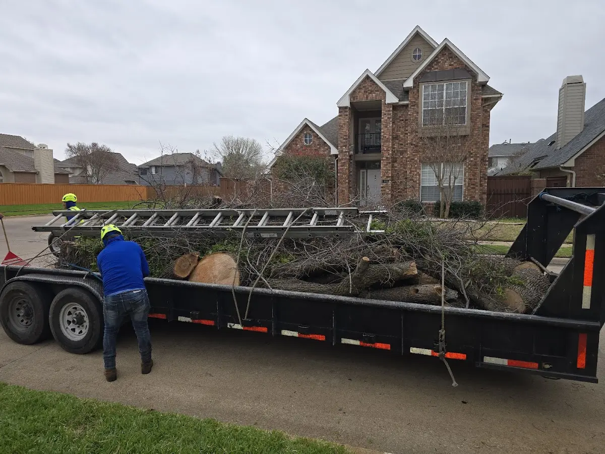 Expert Tree Pest Control with proper safety equipment in Westbrook